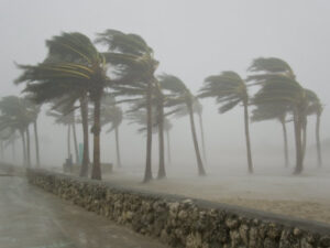 Typhoons And Hurricanes