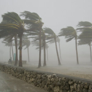 Typhoons And Hurricanes